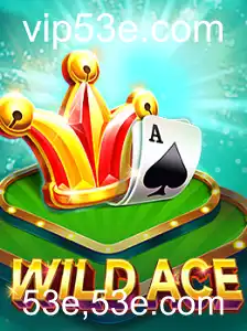 Explorando WildAce: Desvendando o Novo Fenômeno dos Jogos